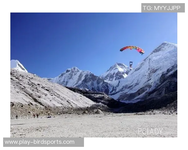 西安极限运动队的团队协作与挑战精神探讨实时数据