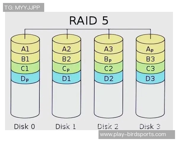 运动最新数据科学羽毛球力量训练方法提升运动表现与技术水平的全面指南