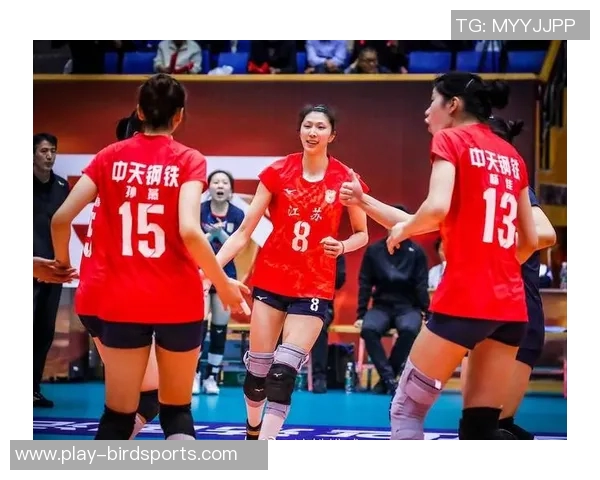 实时新闻南京排球队实力强劲荣登全国排球力量排行榜第五名